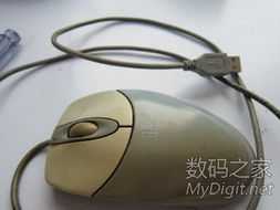 数字产品技术交流网站 推动创新与协作的桥梁